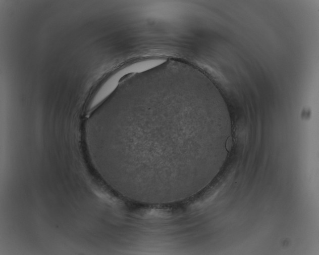 X0000094460303200711211546