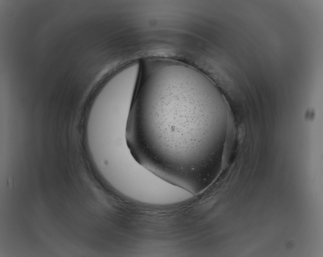 X0000094460304200711211546