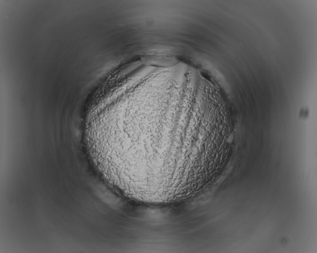 X0000094460305200711211546