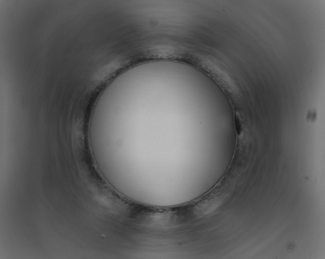 X0000094460306200711211546