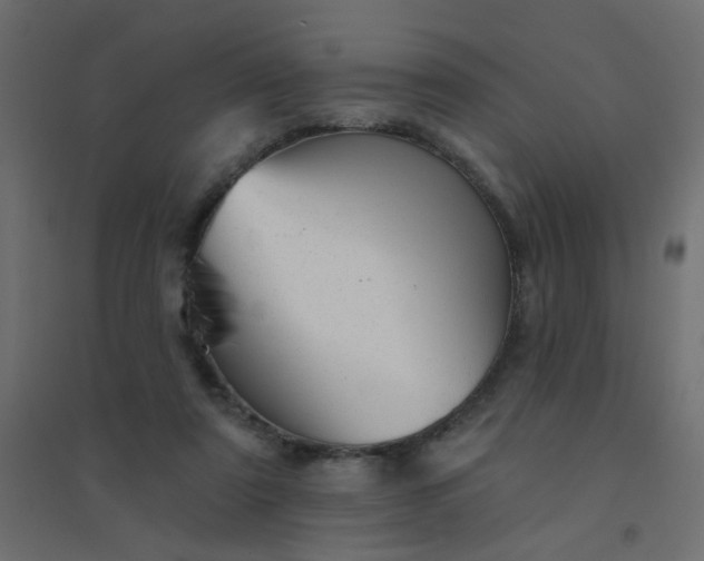 X0000094460307200711211546