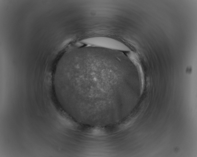 X0000094460308200711211546