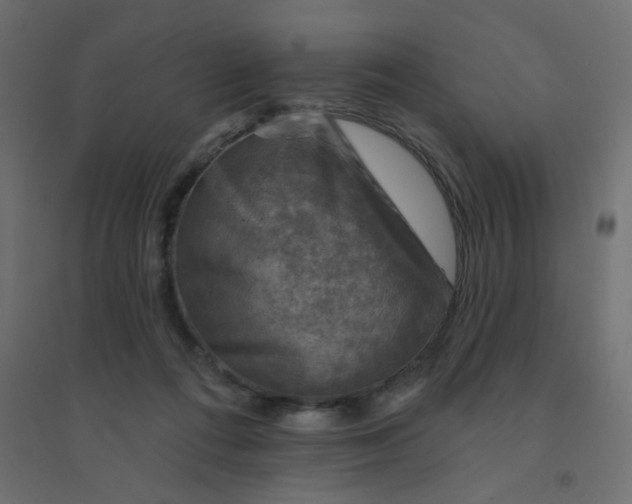 X0000094460312200711211546