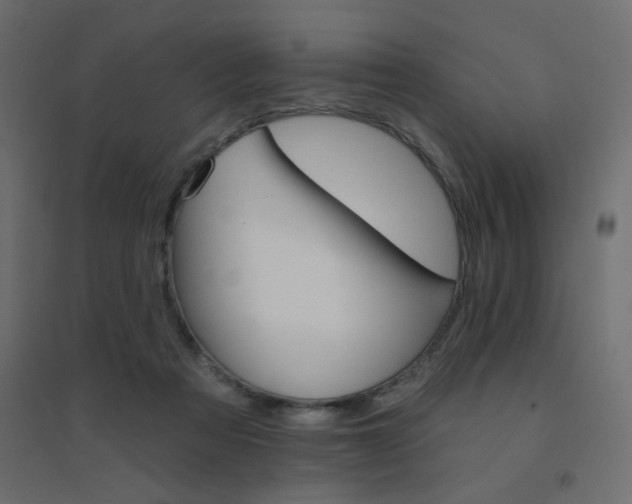 X0000094460313200711211546