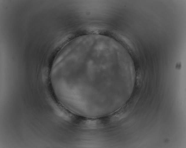 X0000094460314200711211546