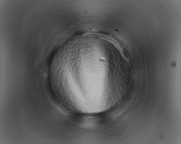 X0000094460315200711211546