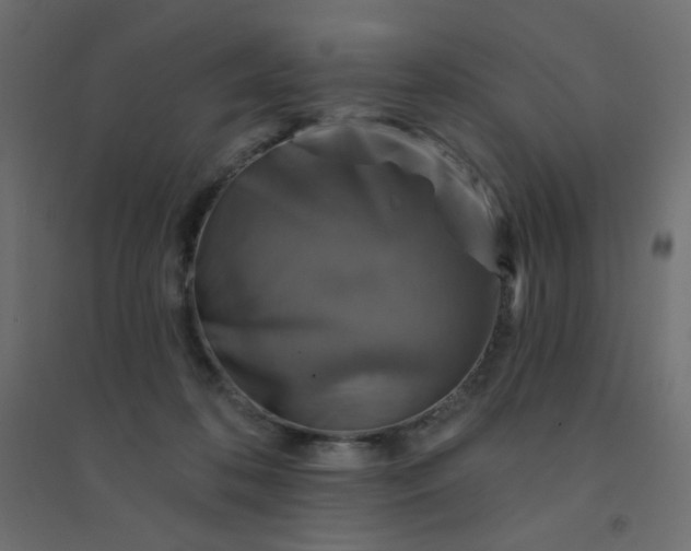 X0000094460316200711211546