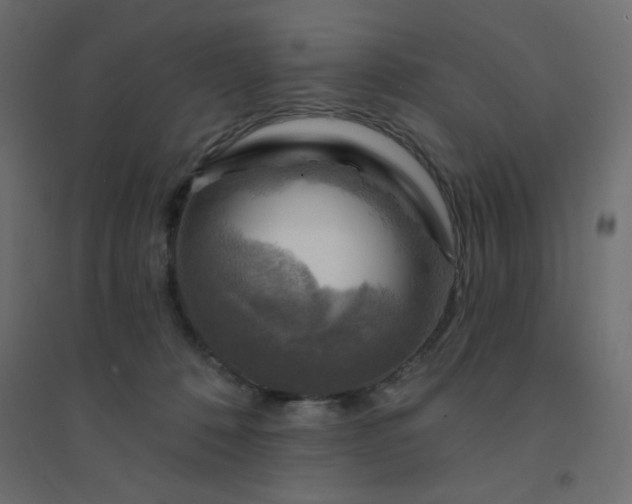 X0000094460320200711211546