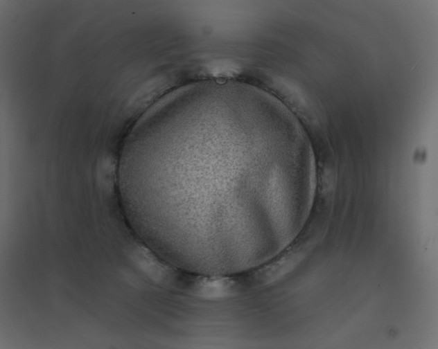 X0000094460321200711211546