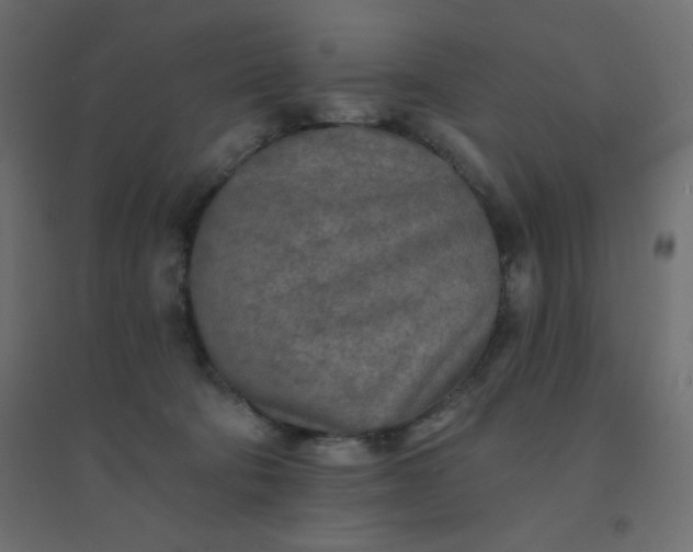 X0000094460322200711211546