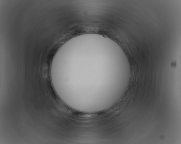 X0000094460323200711211546