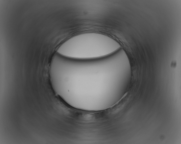 X0000094460325200711211546