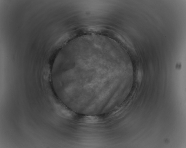 X0000094460328200711211546