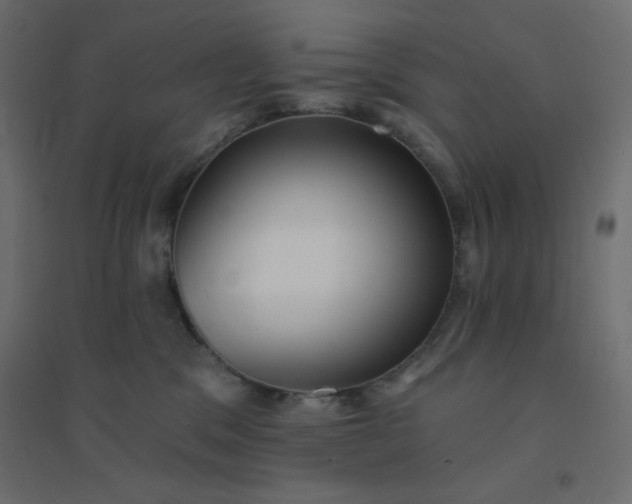 X0000094460329200711211546