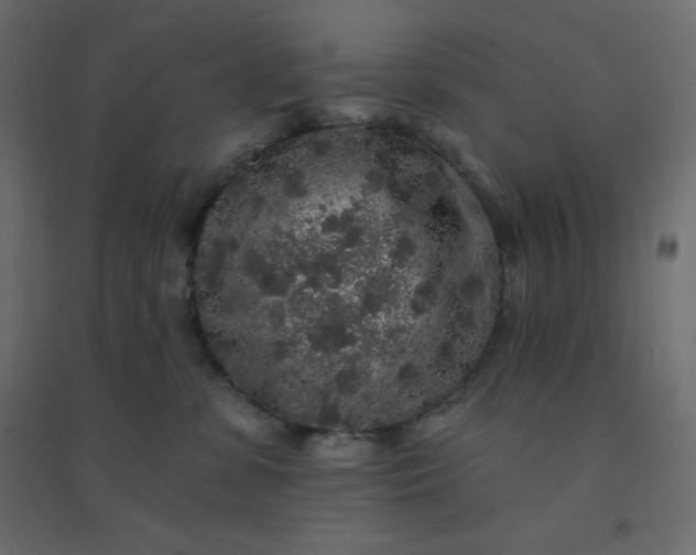 X0000094460331200711211546