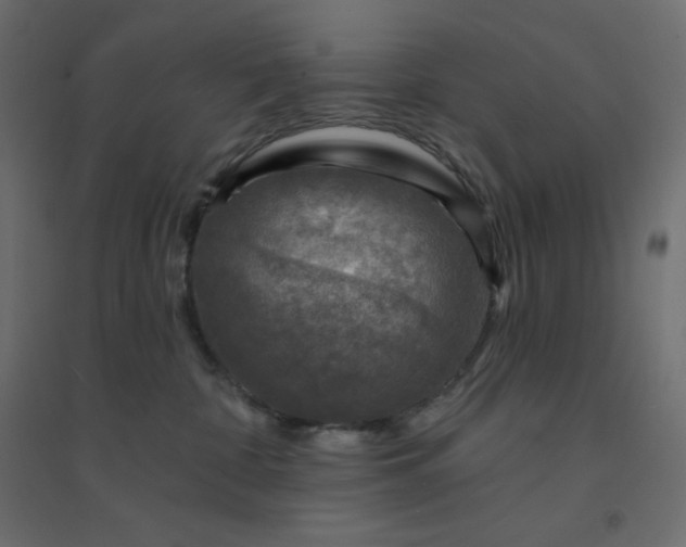 X0000094460332200711211546