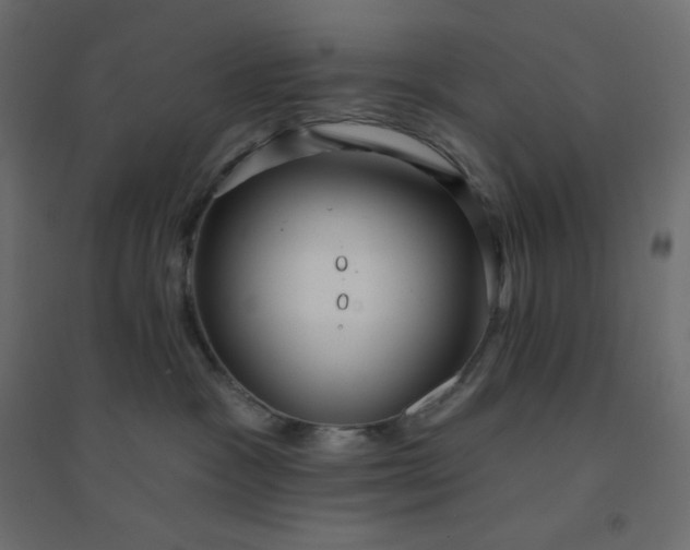 X0000094460333200711211546