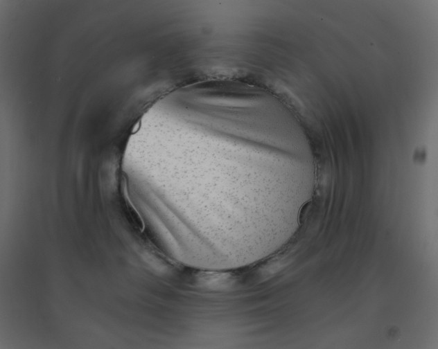 X0000094460334200711211546