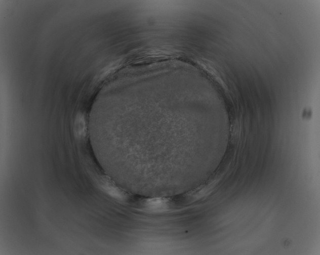 X0000094460335200711211546