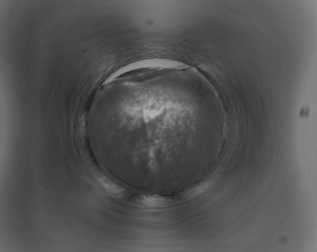 X0000094460336200711211546