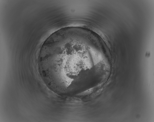 X0000094460337200711211545