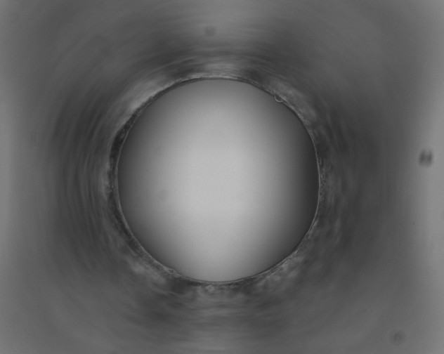 X0000094460338200711211545