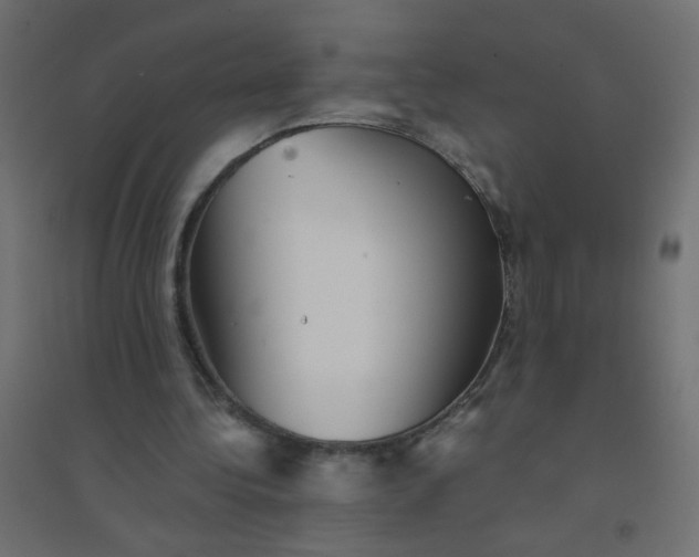 X0000094460340200711211545