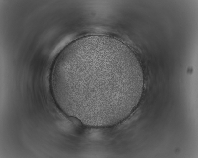 X0000094460341200711211545