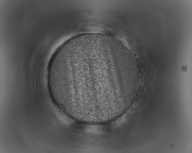 X0000094460342200711211545