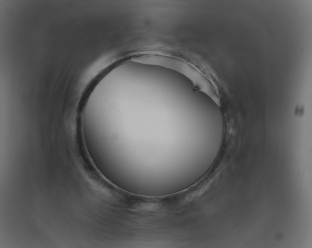 X0000094460344200711211545