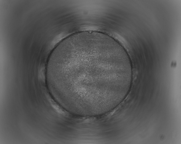 X0000094460345200711211545