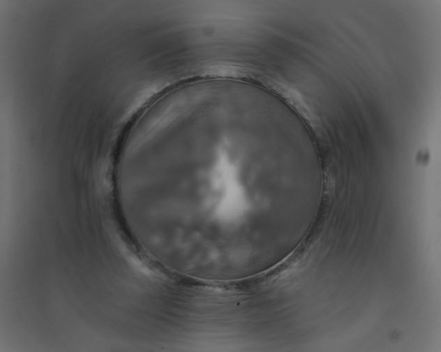 X0000094460347200711211545