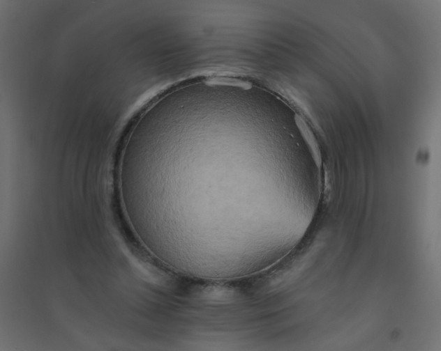 X0000094460348200711211545