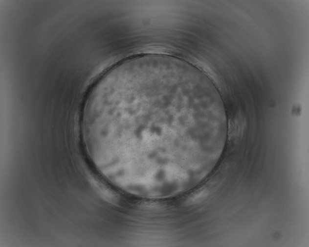 X0000094460349200711211545