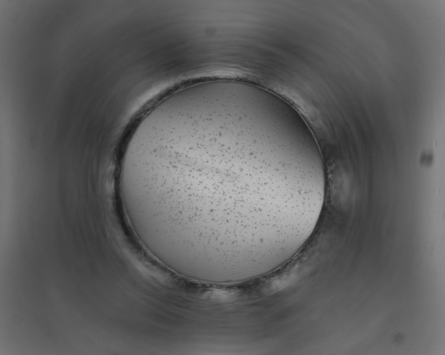 X0000094460350200711211545