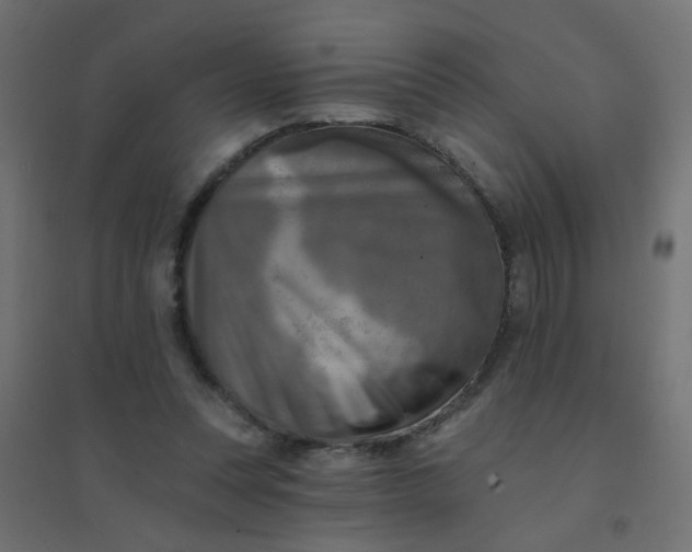 X0000094460351200711211545