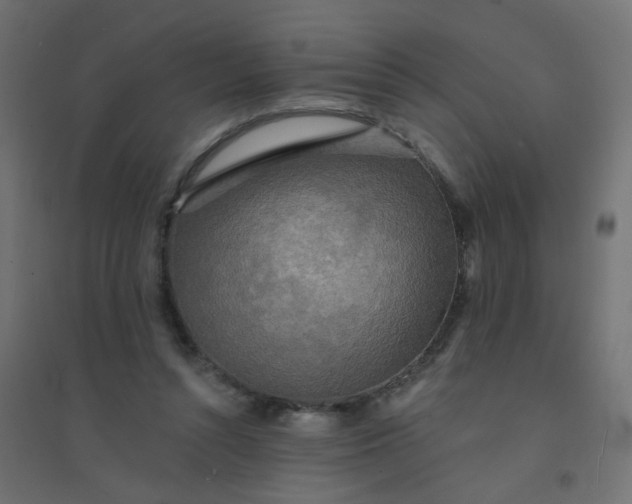 X0000094460352200711211545