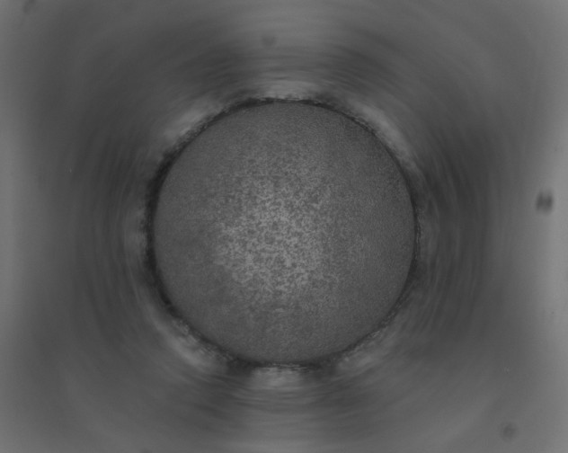 X0000094460354200711211545