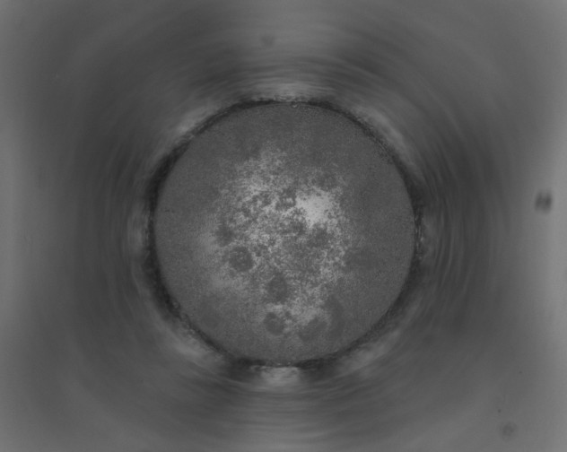 X0000094460355200711211545