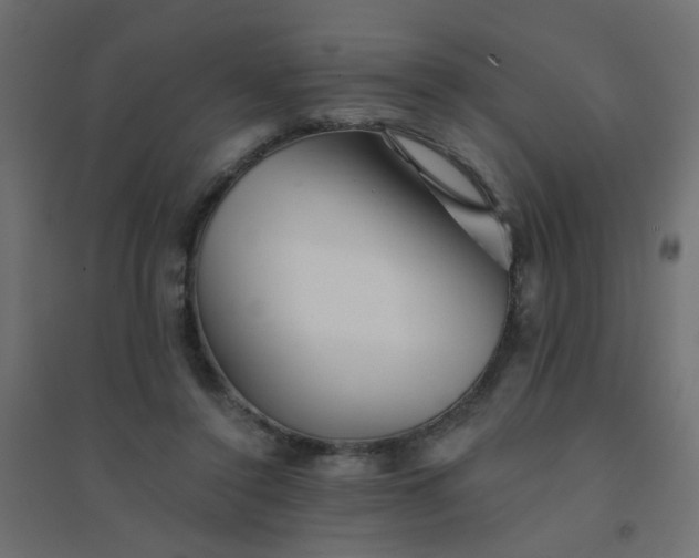 X0000094460356200711211545