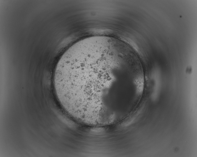 X0000094460357200711211546