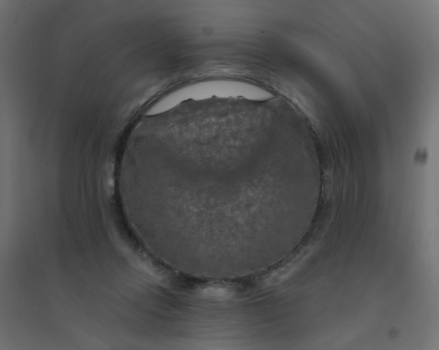 X0000094460358200711211546