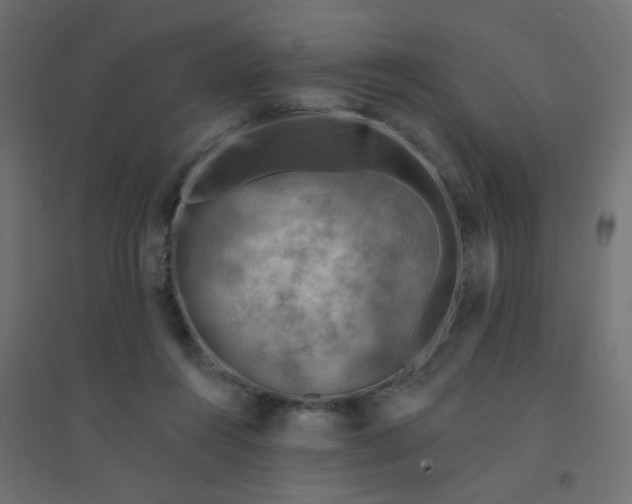 X0000094460360200711211546