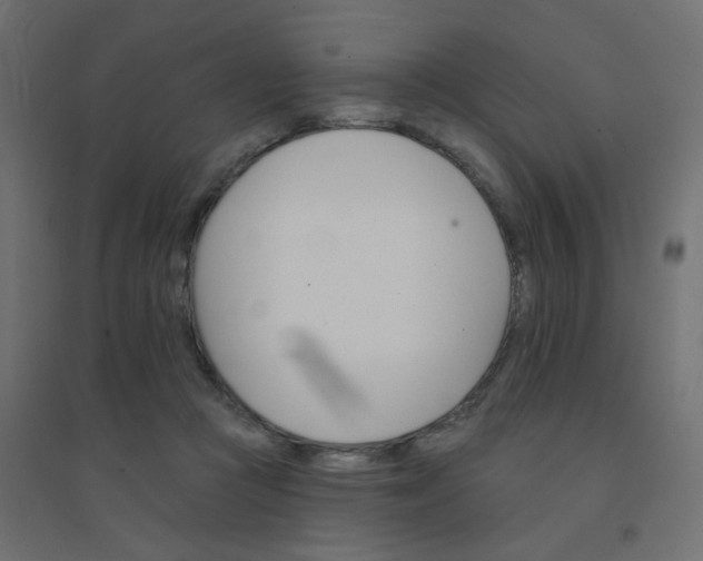 X0000094460361200711211546