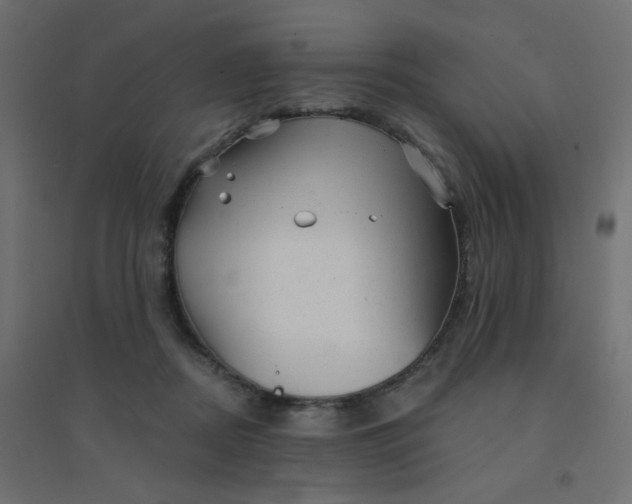 X0000094460362200711211546