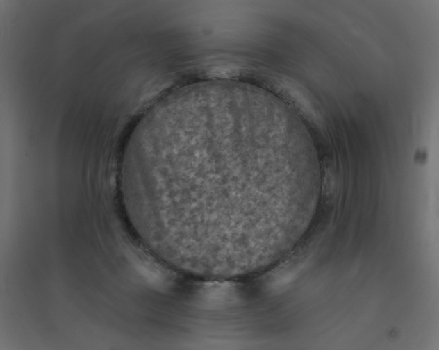 X0000094460363200711211546