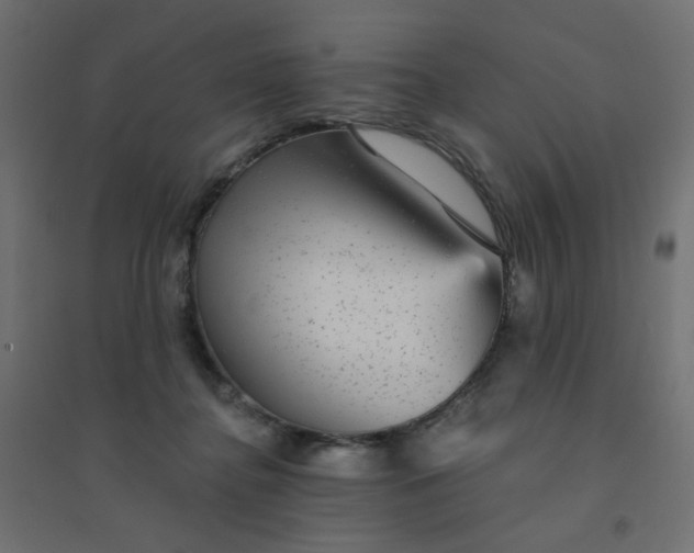 X0000094460364200711211546