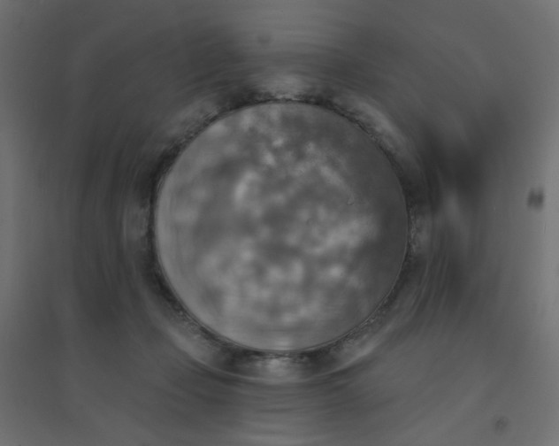 X0000094460365200711211546