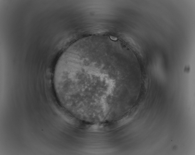 X0000094460366200711211546