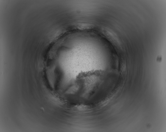 X0000094460367200711211546